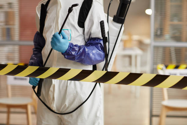 Professional Sewage Cleanup technician working in Robertsville, NJ